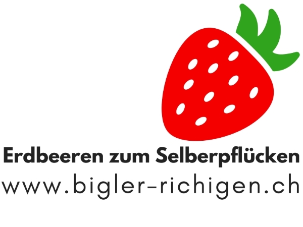 Bigler Erdbeeren, Richigen